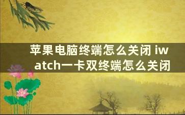 苹果电脑终端怎么关闭 iwatch一卡双终端怎么关闭